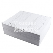 立信 TR101 電腦賬冊記賬憑證 1000份/包 2包/箱