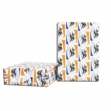 傳美2008 復(fù)印紙 A5/70g 白色 500張/包 10包/箱 按箱售