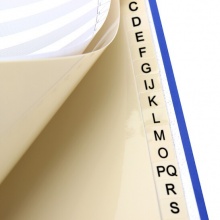 富得快 FD-2100 分類索引 A4 灰色 21頁