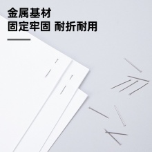 得力 0039 鍍鎳大頭針3# 銀色 100g/盒