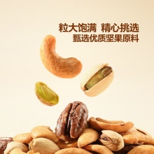 DAN.D.PAK 進(jìn)口什錦堅果650g（15小包）