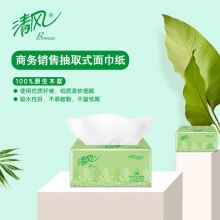 清風(fēng) BR38AE1 雙層塑包面紙 200抽/包 3包/提 16提/箱